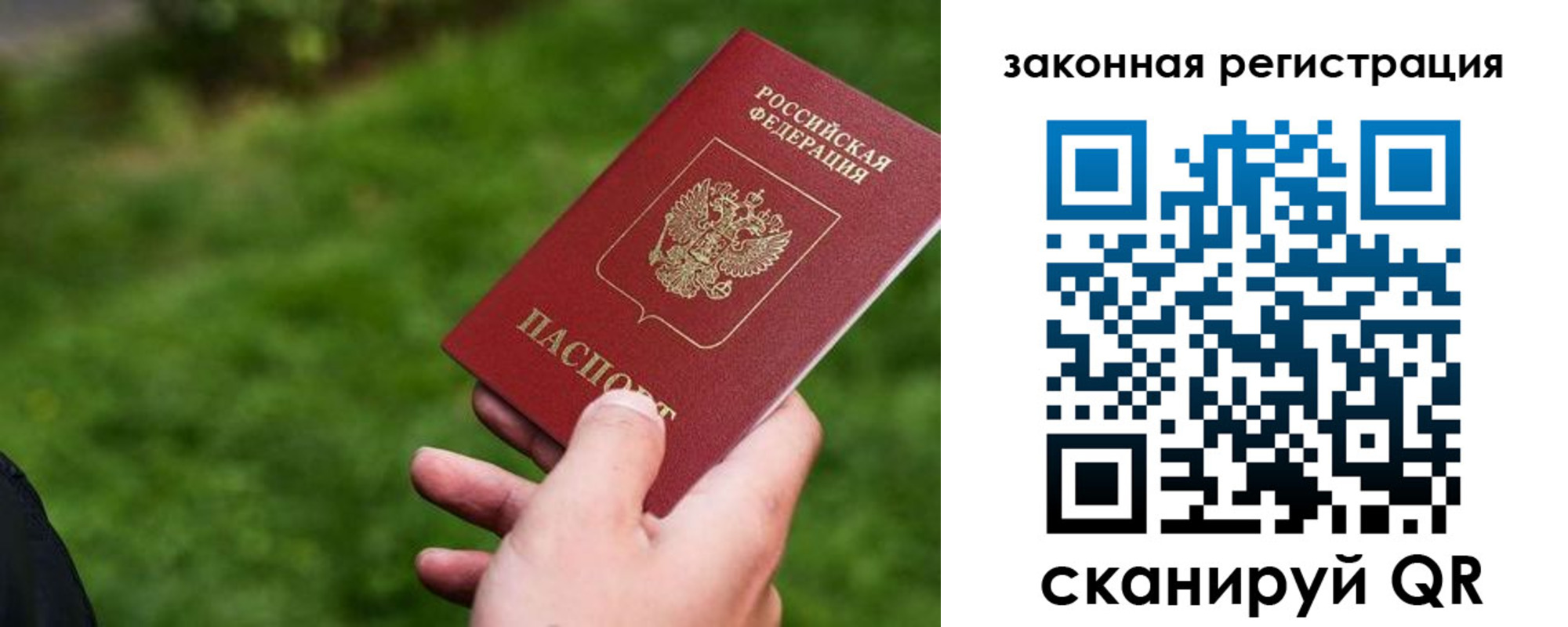 прописка законно в Алексине